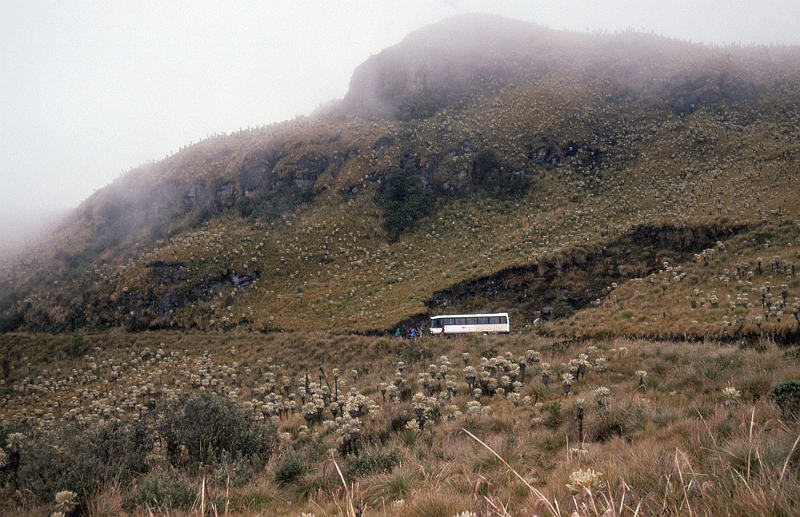 524_Met de bus naar paramo El Angel (3600 m).jpg